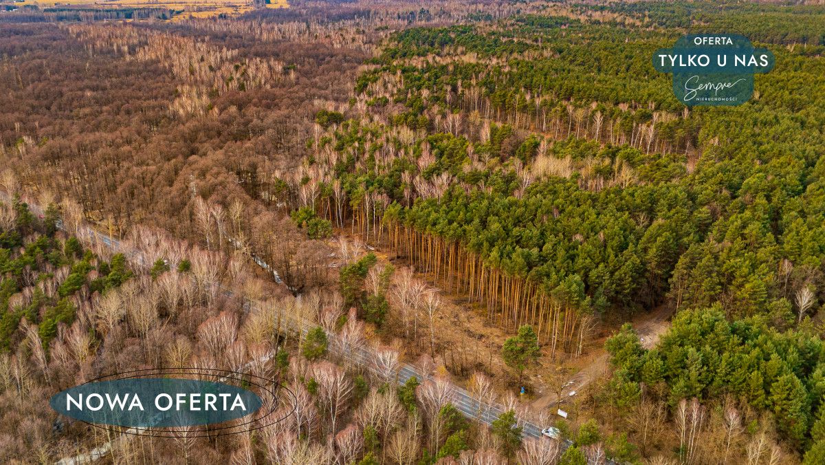 Działka leśna Załuże. Zdjęcie 5