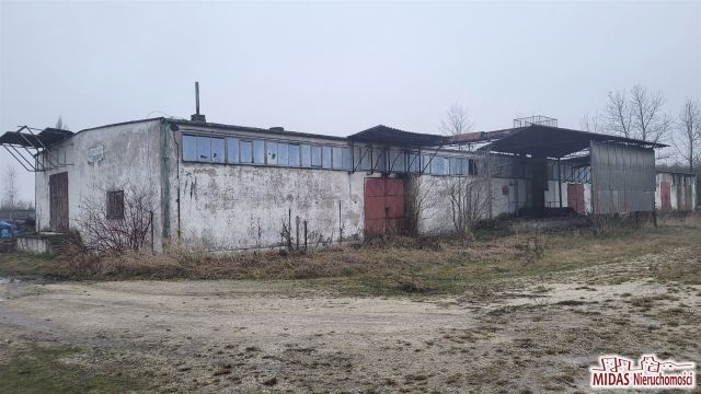Hala/magazyn Lubraniec. Zdjęcie 1
