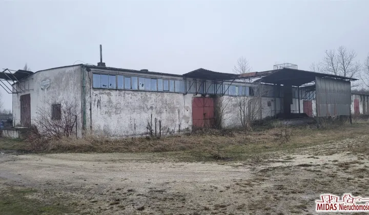 Hala/magazyn Lubraniec
