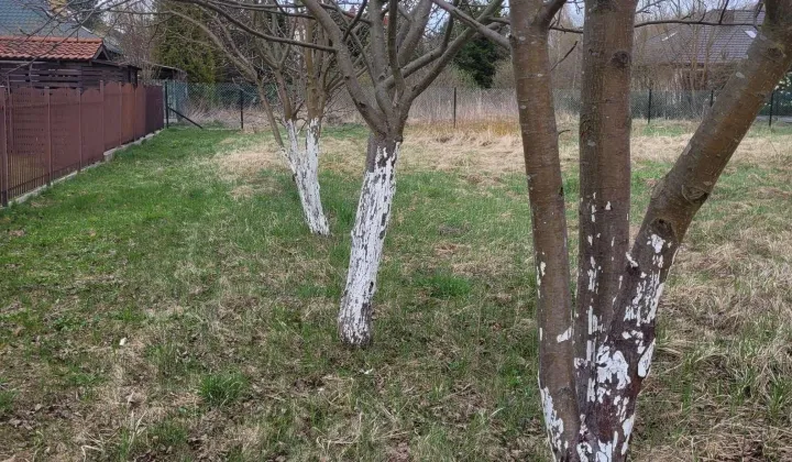 Działka budowlana Łbiska, ul. Władysława Jagiełły
