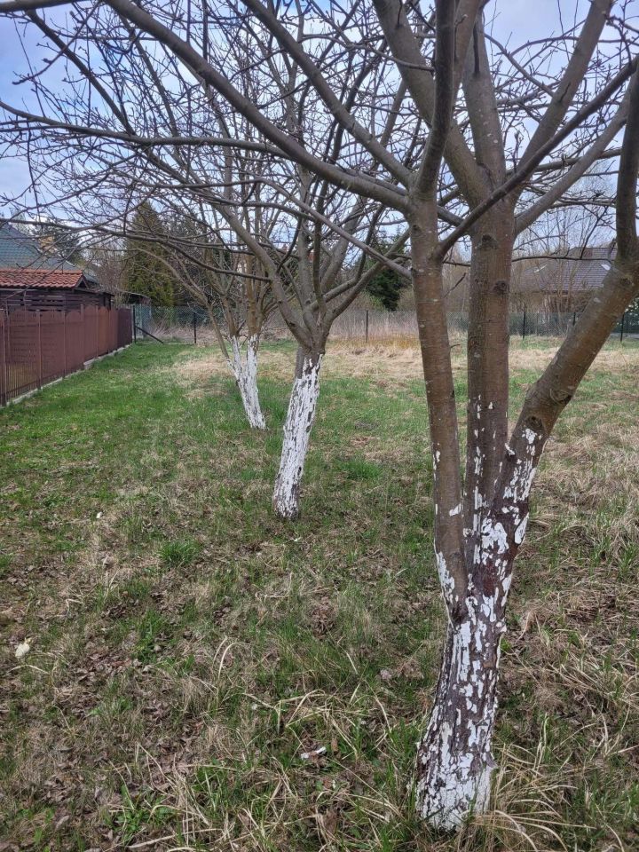 Działka budowlana Łbiska, ul. Władysława Jagiełły. Zdjęcie 1