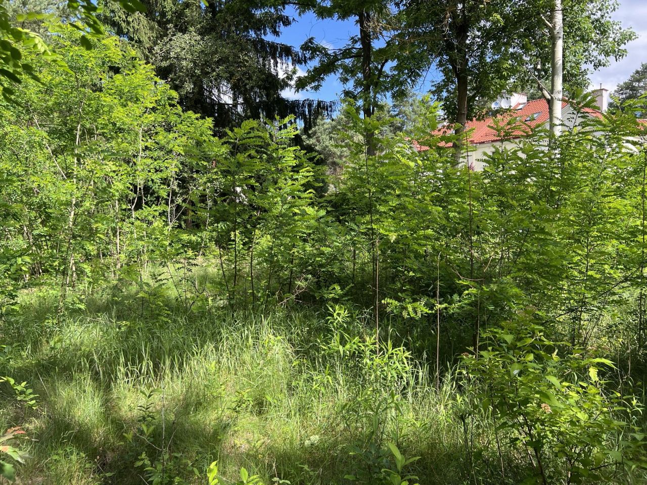 Działka budowlana Józefów, ul. Rolnicza. Zdjęcie 3