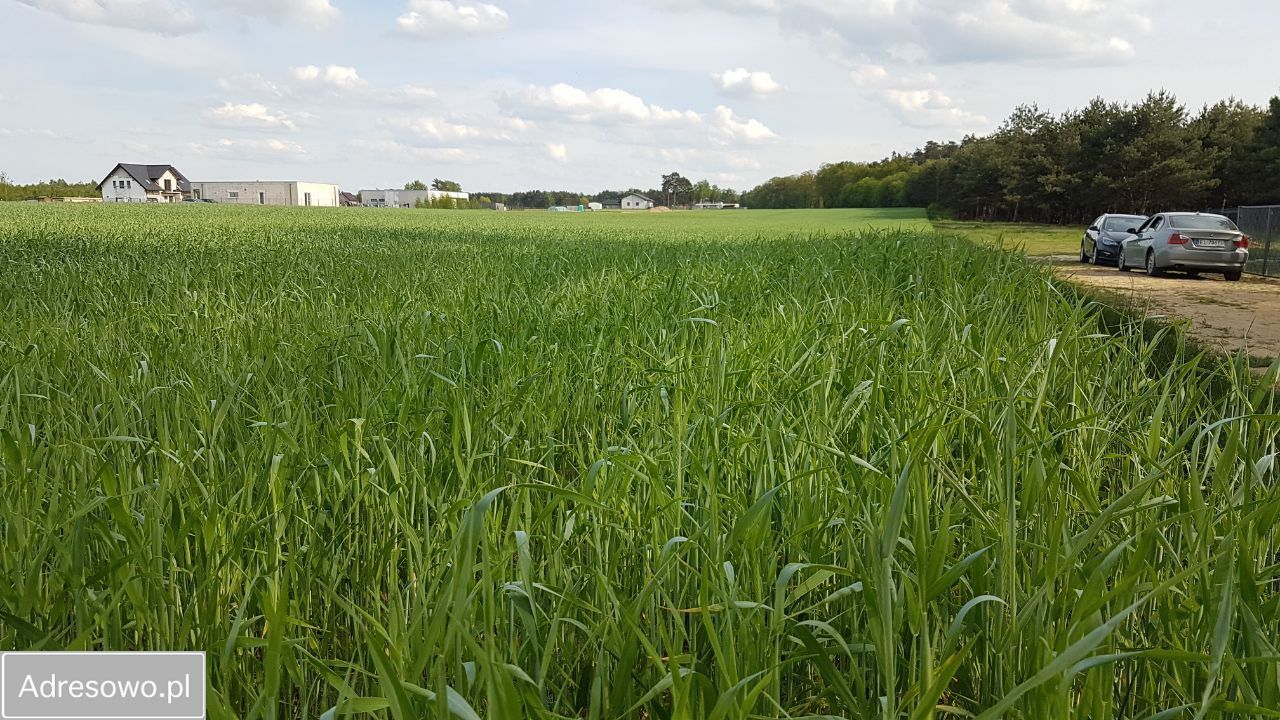 Działka budowlana Sokolniki. Zdjęcie 4