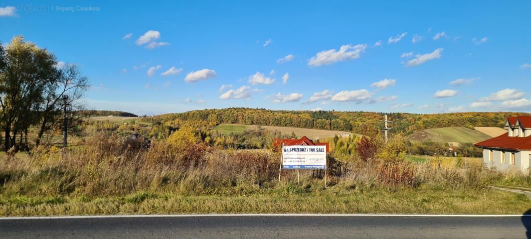 Działka rolno-budowlana Zamłynie. Zdjęcie 6
