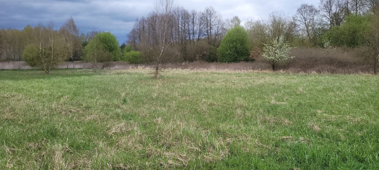 Działka rekreacyjna Dąb Mały