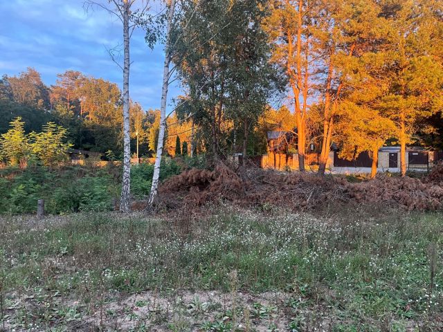 Działka budowlana Domaniewice, ul. Brzozowa. Zdjęcie 1