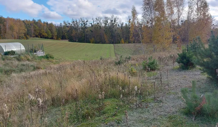 Działka budowlana Leźno, ul. Brzozowa