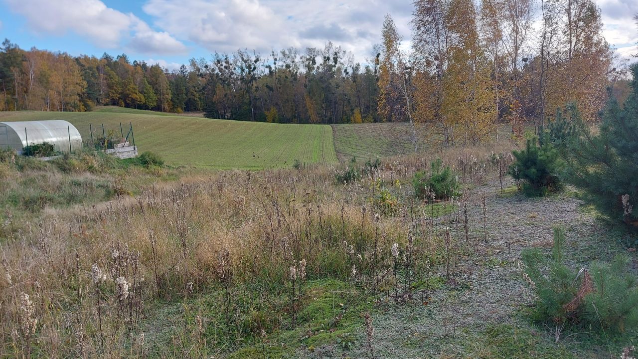 Działka budowlana Leźno, ul. Brzozowa