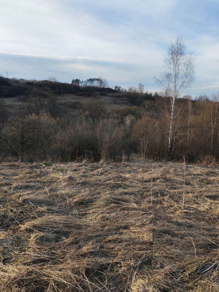 Działka rolna Olchowiec, Olchowiec. Zdjęcie 4