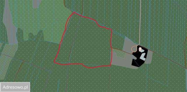 Działka leśna Kąty Goździejewskie Pierwsze. Zdjęcie 1