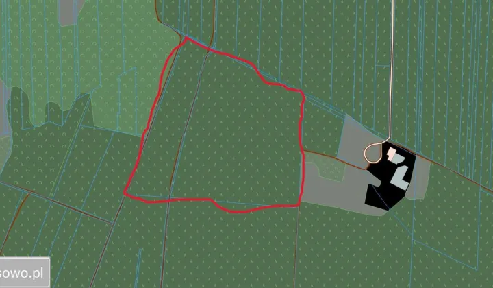 Działka leśna Kąty Goździejewskie Pierwsze