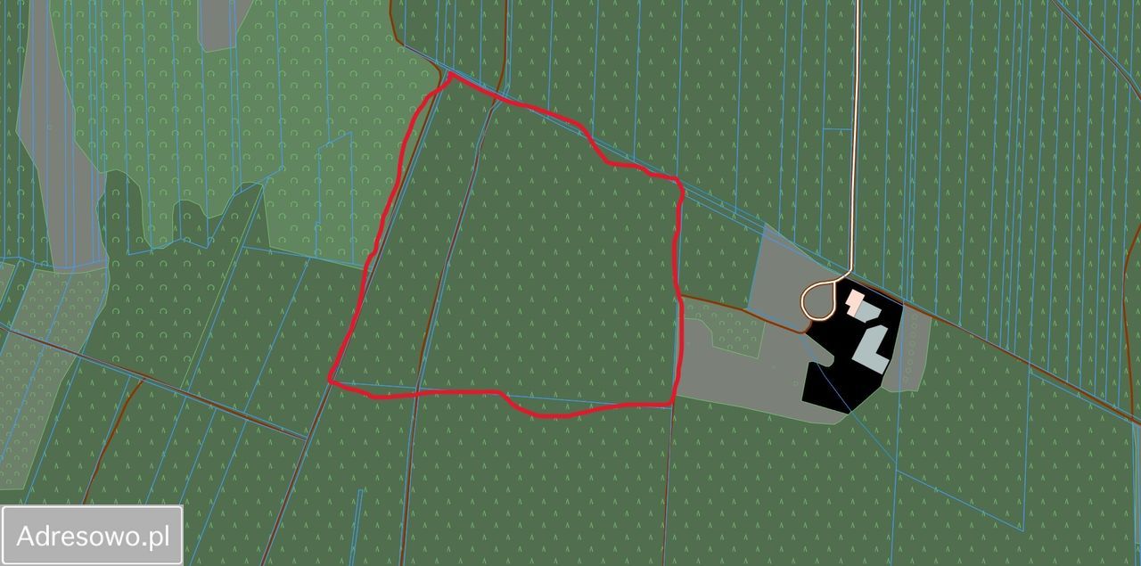 Działka leśna Kąty Goździejewskie Pierwsze. Zdjęcie 1