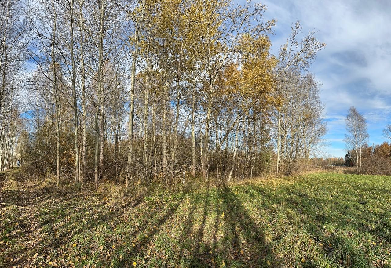 Działka budowlana Wymiarki. Zdjęcie 7