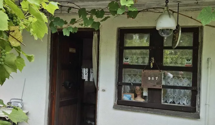 Działka rod Lublin, ul. Lipska