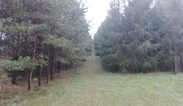 Działka rolna Kaletnik