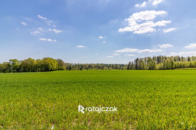 bliźniak, 3 pokoje Tokary. Zdjęcie 20