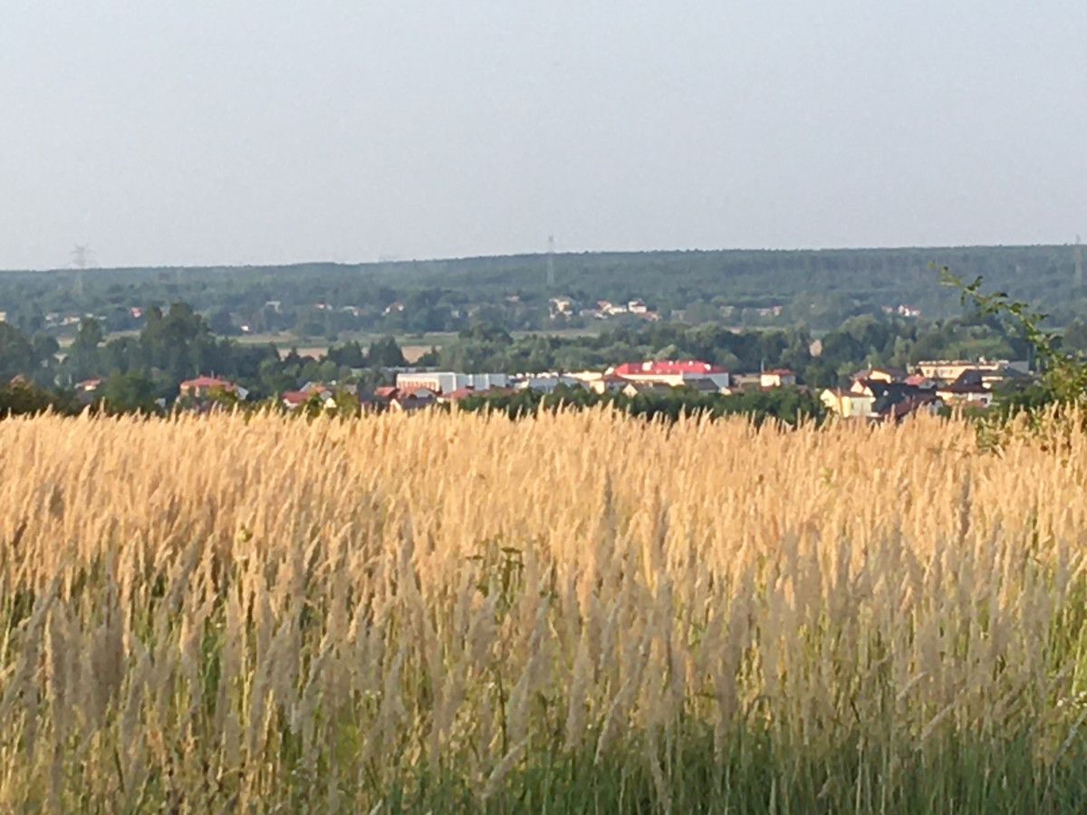 Działka rolno-budowlana Goździelin Na Wiatraku