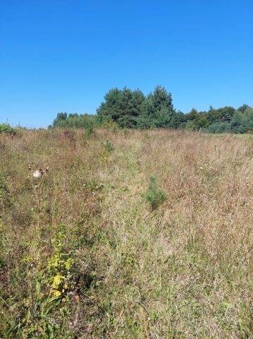 Działka budowlana Adamów. Zdjęcie 1