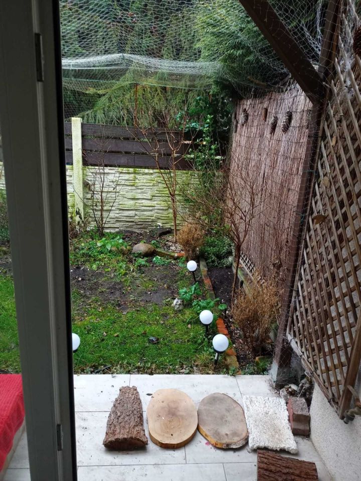 dom szeregowy Daszewice. Zdjęcie 6