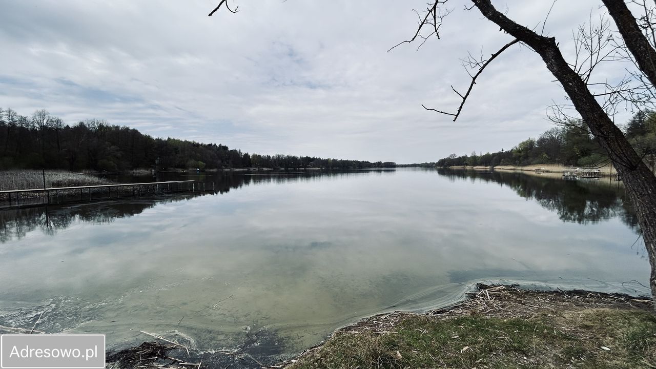 Działka rekreacyjna Piotrowo. Zdjęcie 7