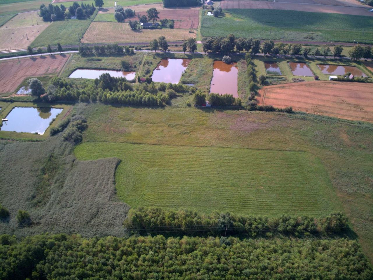 Działka rekreacyjna Łopatki. Zdjęcie 4