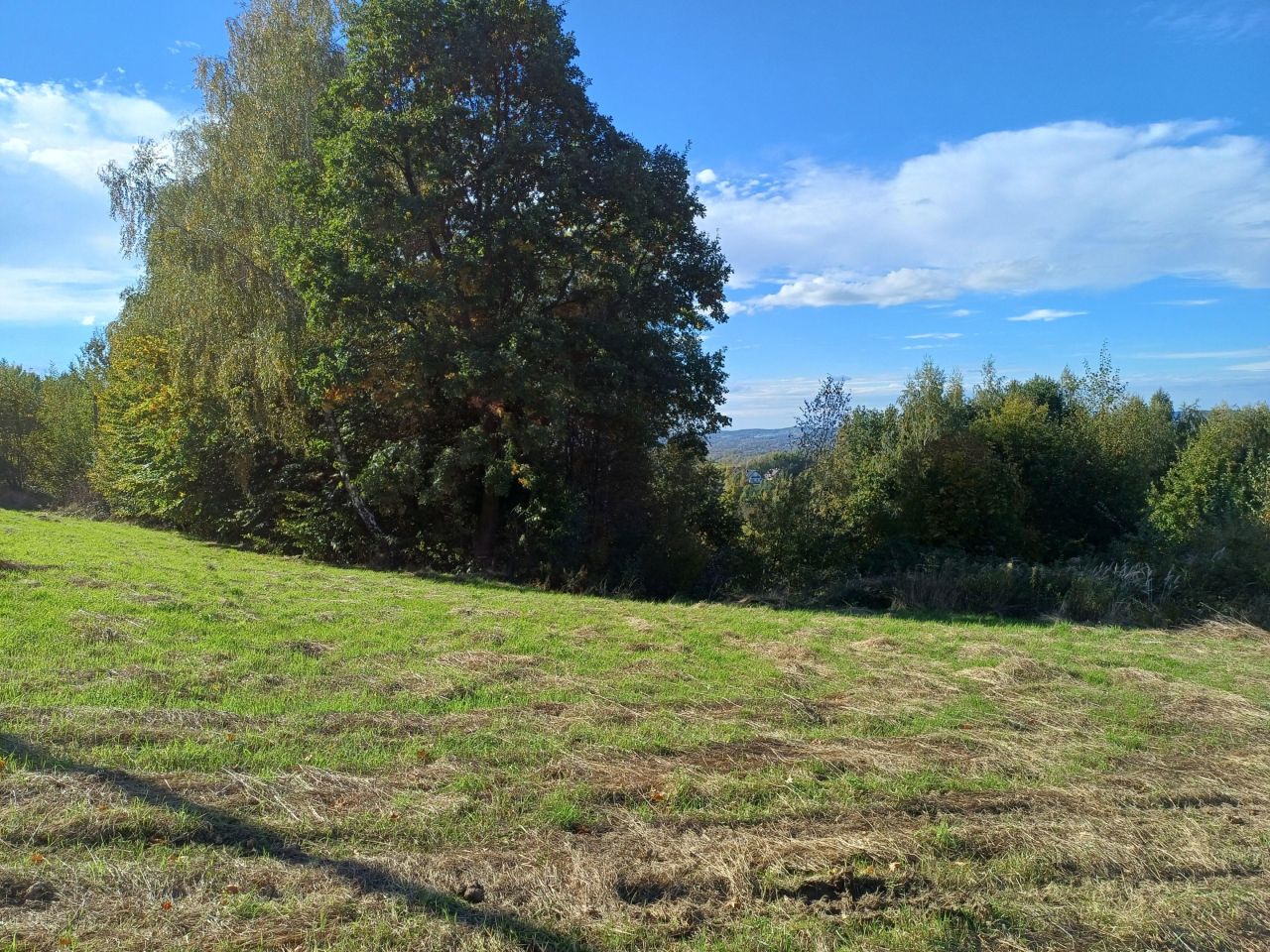 Działka rolno-budowlana Jaroszówka. Zdjęcie 7