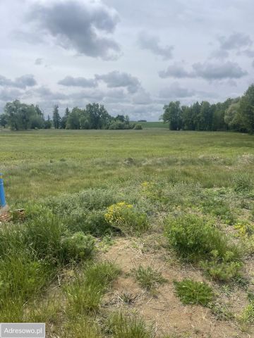 Działka budowlana Sosnowiec. Zdjęcie 1