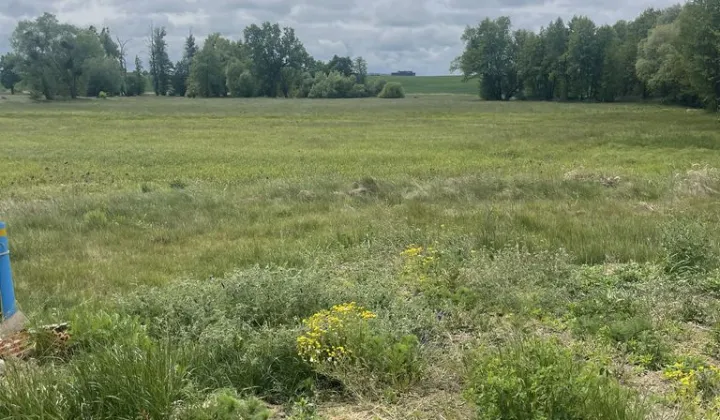 Działka budowlana Sosnowiec