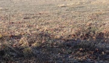 Działka budowlana Będźmierowice