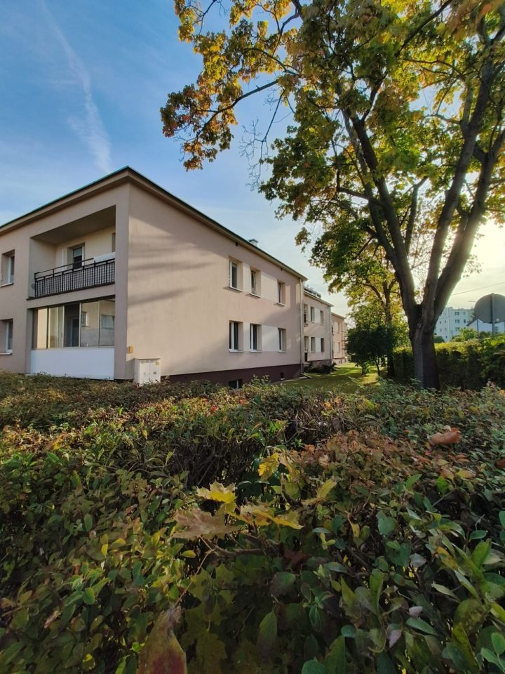 Mieszkanie 1-pokojowe Ząbki Centrum, ul. Wojska Polskiego. Zdjęcie 14