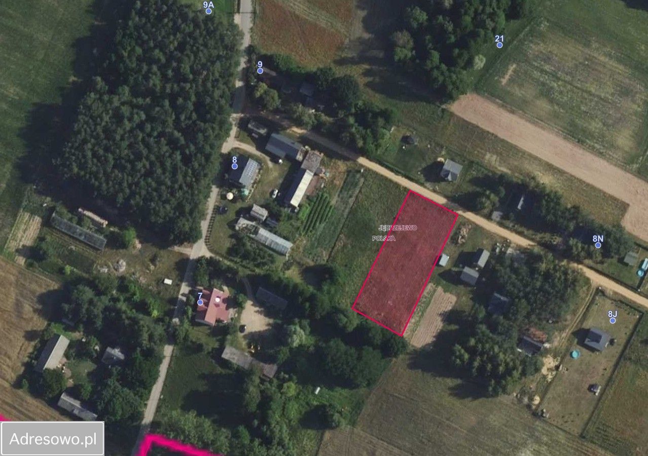 Działka rekreacyjna Jędrzejewo. Zdjęcie 2