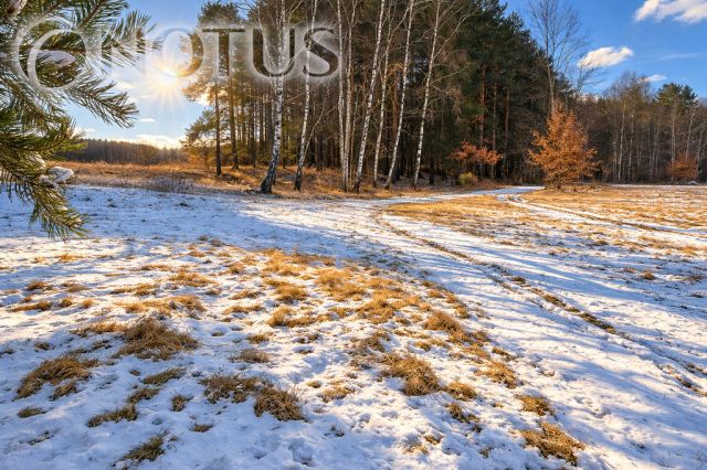 Działka budowlana Cegielnik. Zdjęcie 1