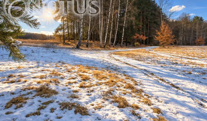 Działka budowlana Cegielnik