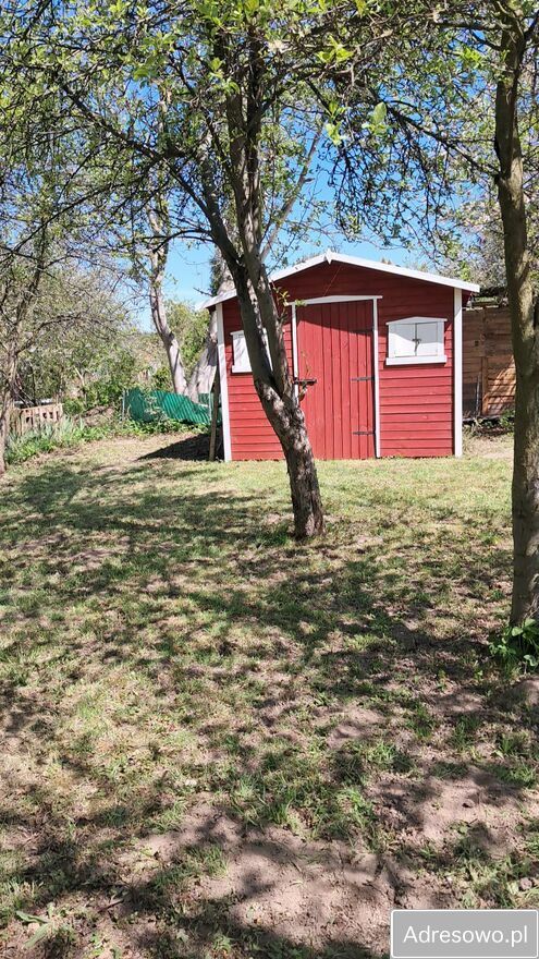 Działka rod Świdnica. Zdjęcie 6