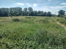Działka inwestycyjna Gronowo Górne, ul. Berylowa. Zdjęcie 2