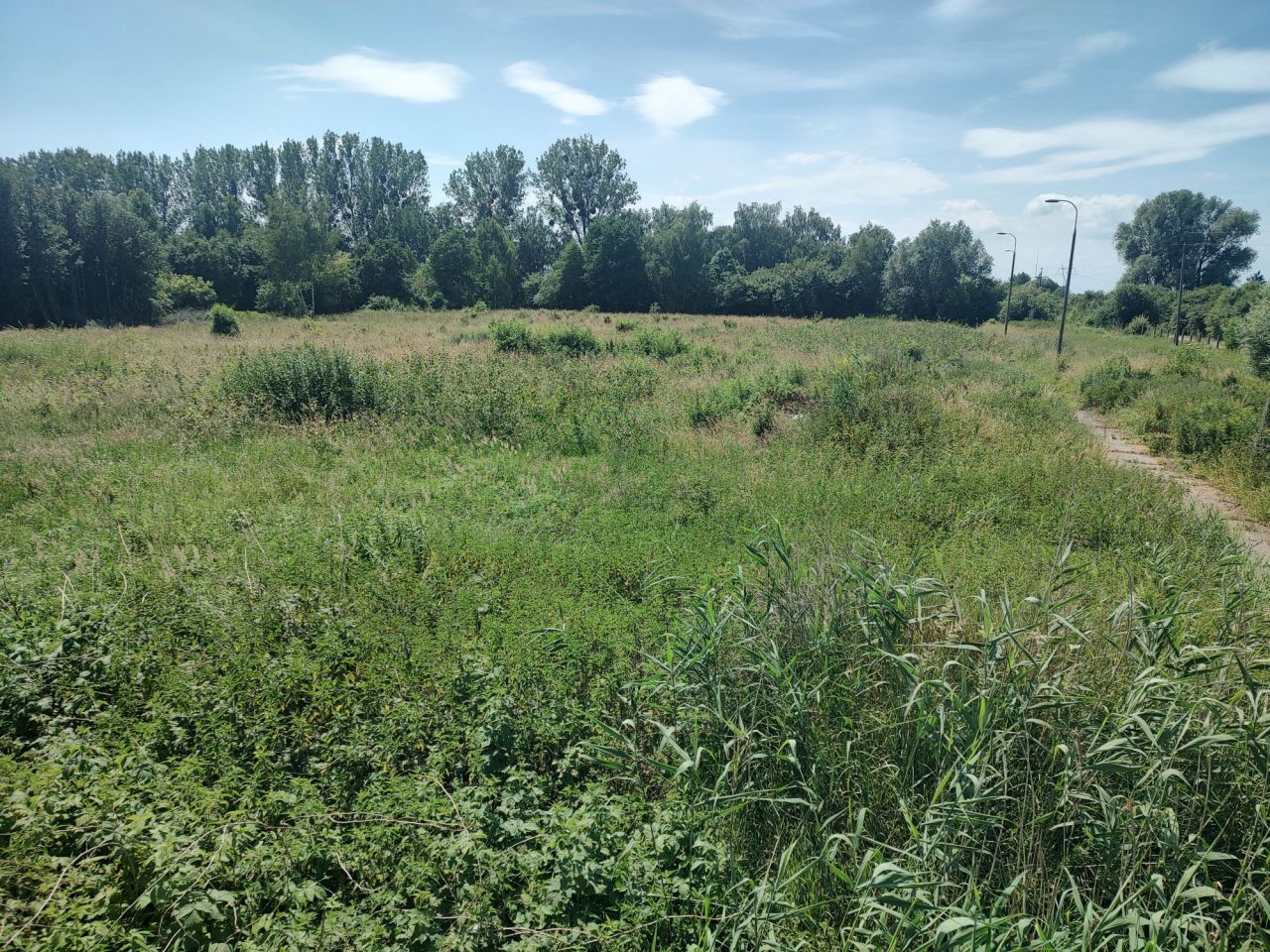Działka inwestycyjna Gronowo Górne, ul. Berylowa. Zdjęcie 3