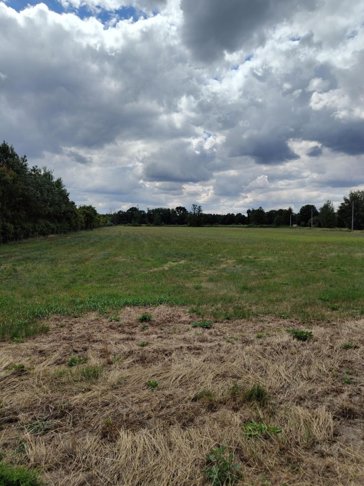 dom wolnostojący Jarantów-Kolonia. Zdjęcie 5