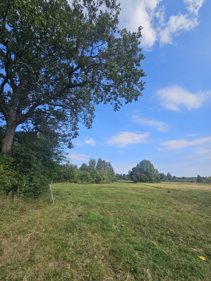 Działka rolna Zajęczniki. Zdjęcie 10
