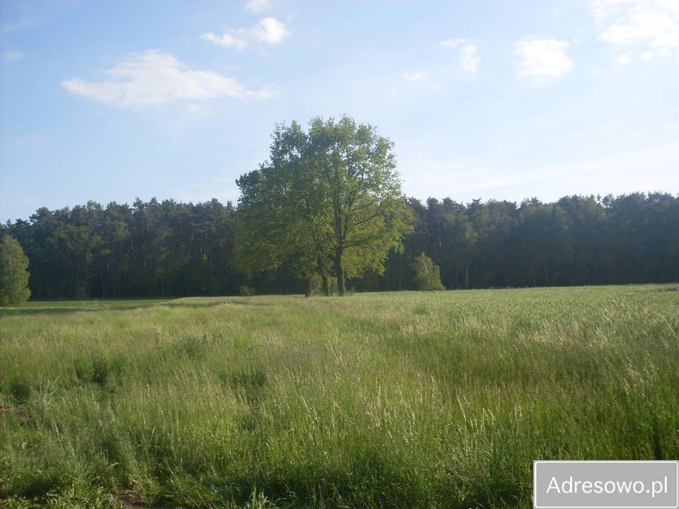 Działka rolna Raszków. Zdjęcie 6