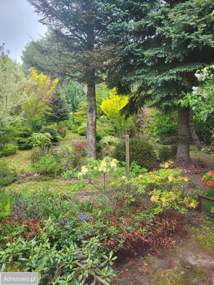 dom wolnostojący, 3 pokoje Dąbrówka Morska. Zdjęcie 11