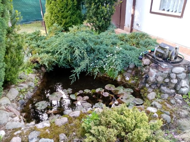 Działka rekreacyjna Bogołomia. Zdjęcie 13