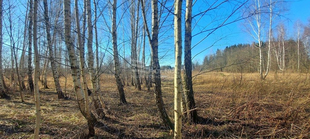 Działka budowlana Różnowo. Zdjęcie 16