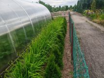 Działka rod Krapkowice. Zdjęcie 3