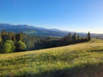 Działka rolna Rzepiska Bryjów Potok, ul. Potok Bryjów. Zdjęcie 4