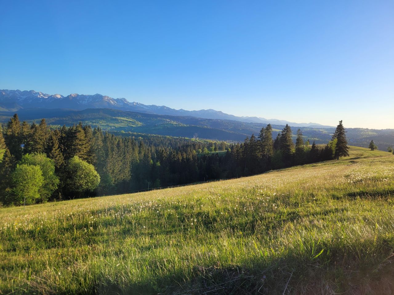 Działka rolna Rzepiska Bryjów Potok, ul. Potok Bryjów. Zdjęcie 5