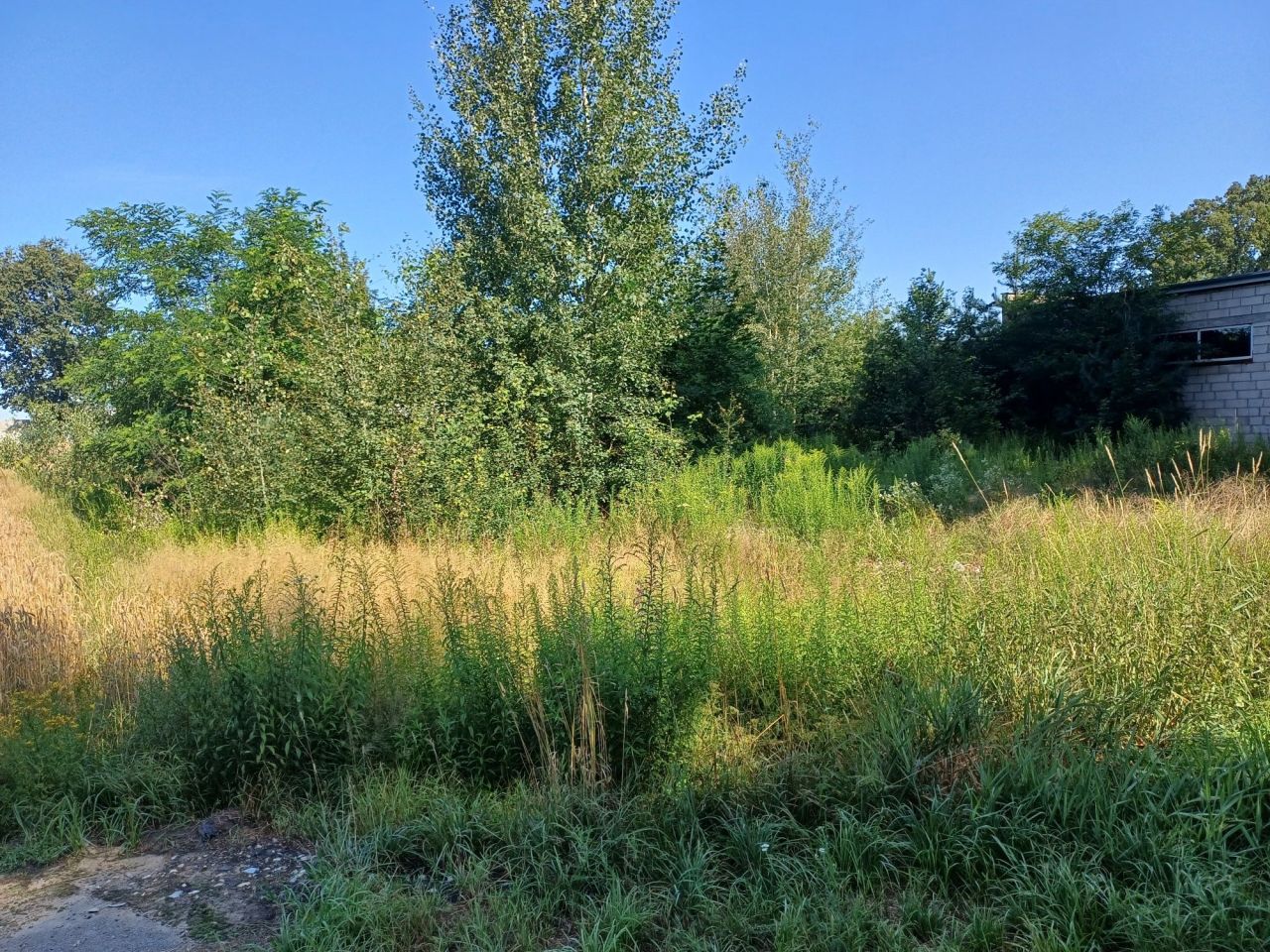 Hala/magazyn Łęgowo. Zdjęcie 7