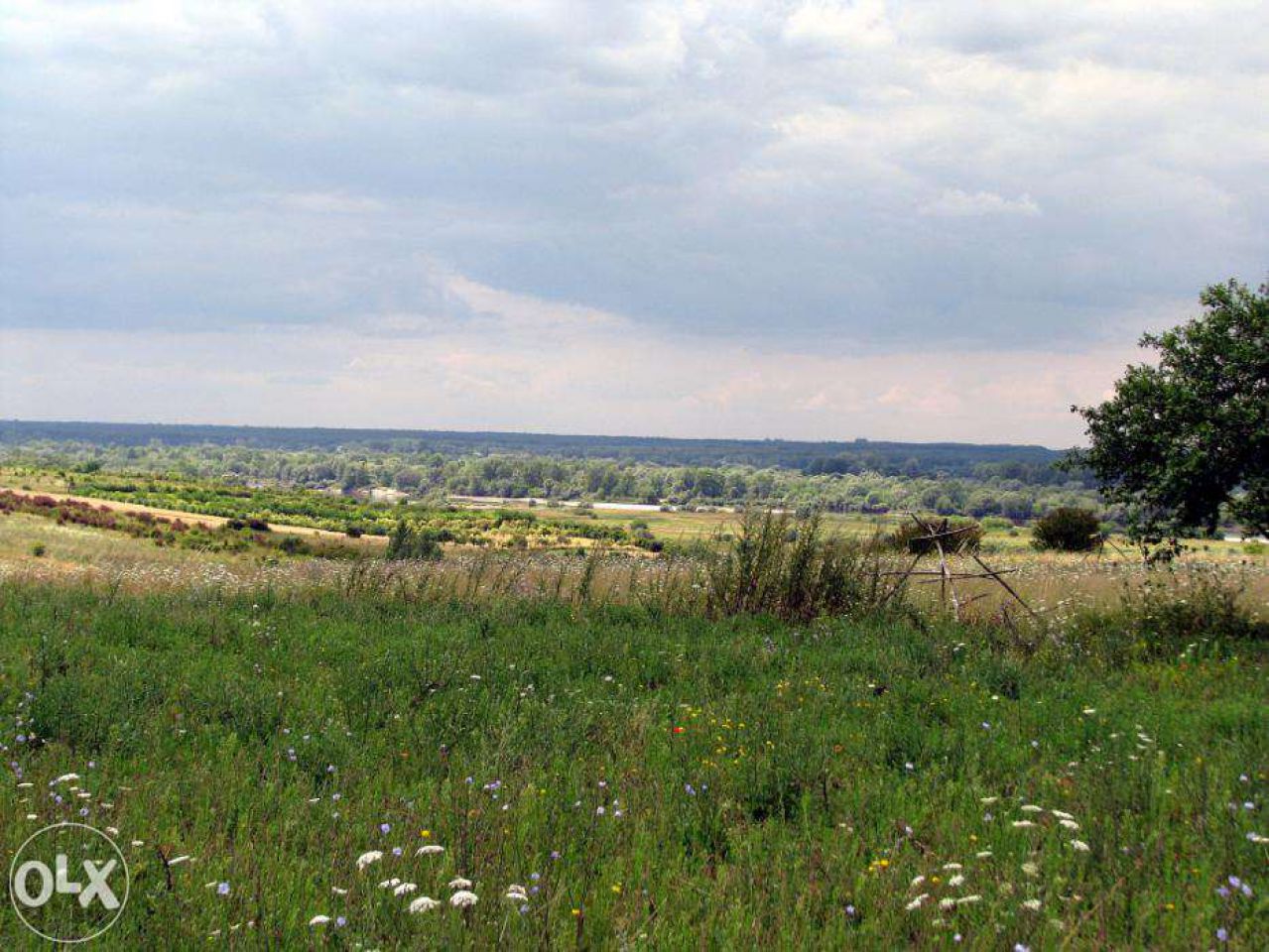 Działka budowlana Kazimierz Dolny. Zdjęcie 5