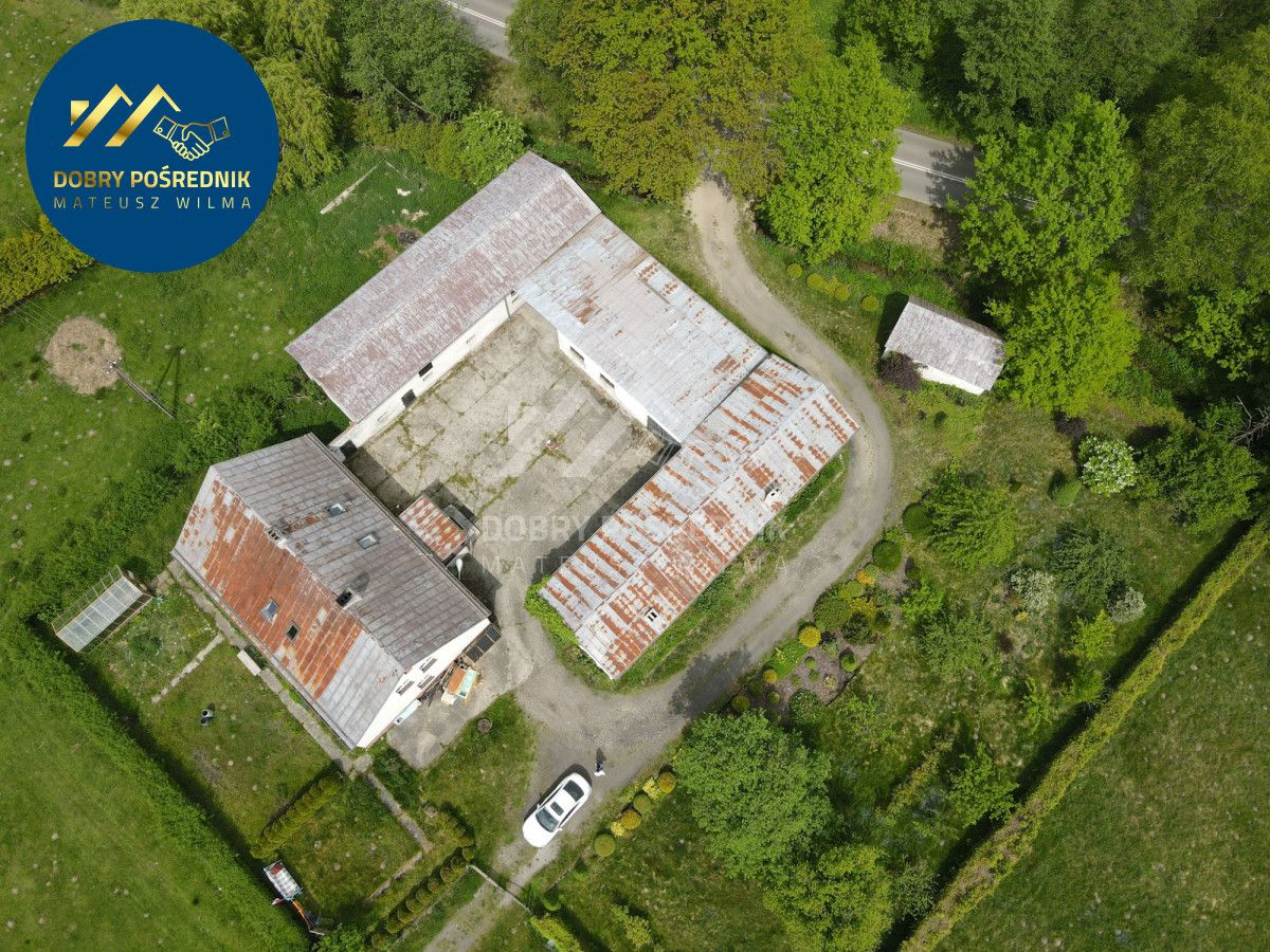 Działka siedliskowa Nosalin. Zdjęcie 4