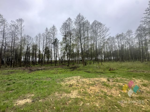 Działka budowlana Tałty. Zdjęcie 23