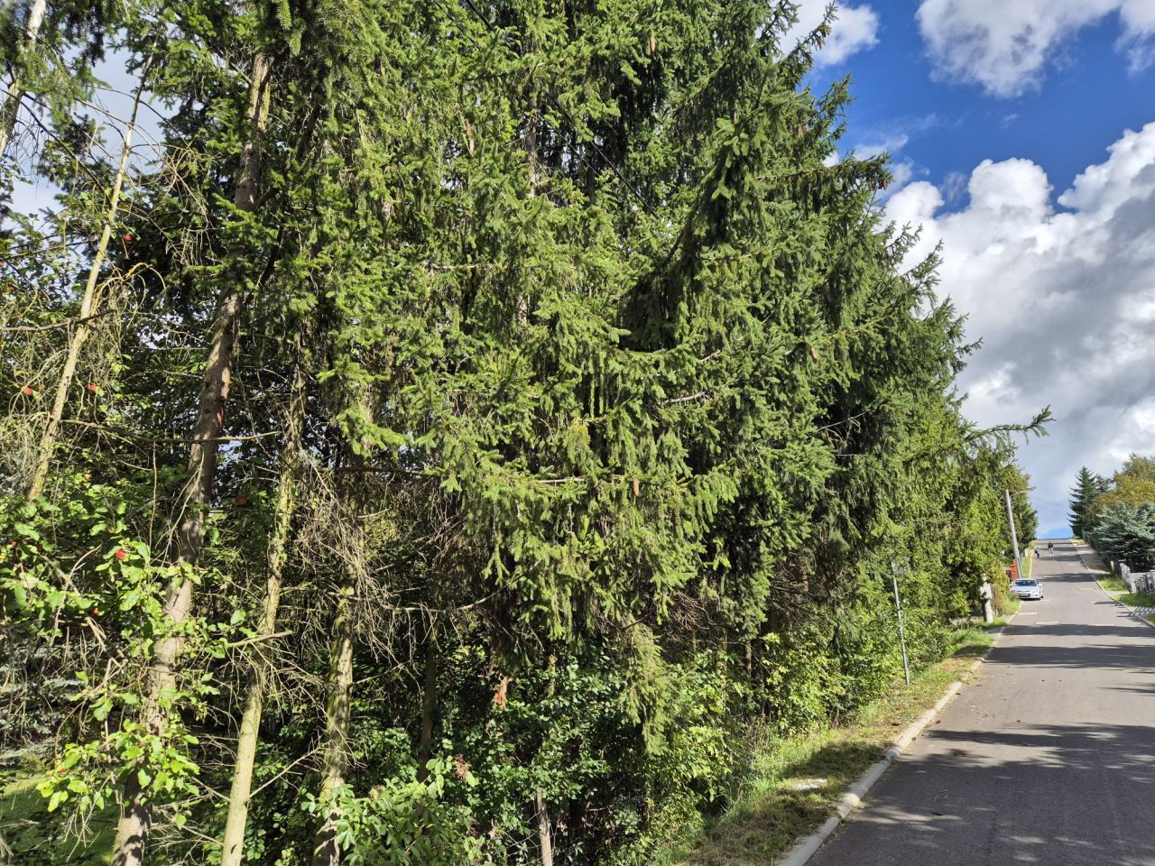 Działka budowlana Czerwonak, ul. Podgórna. Zdjęcie 11